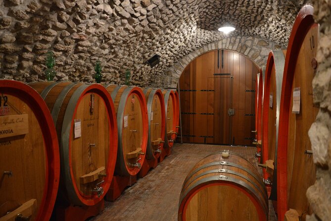 Pagus Wine Tours® - a Taste of Valpolicella - Half Day Wine Tour - Pairing With Local Snacks