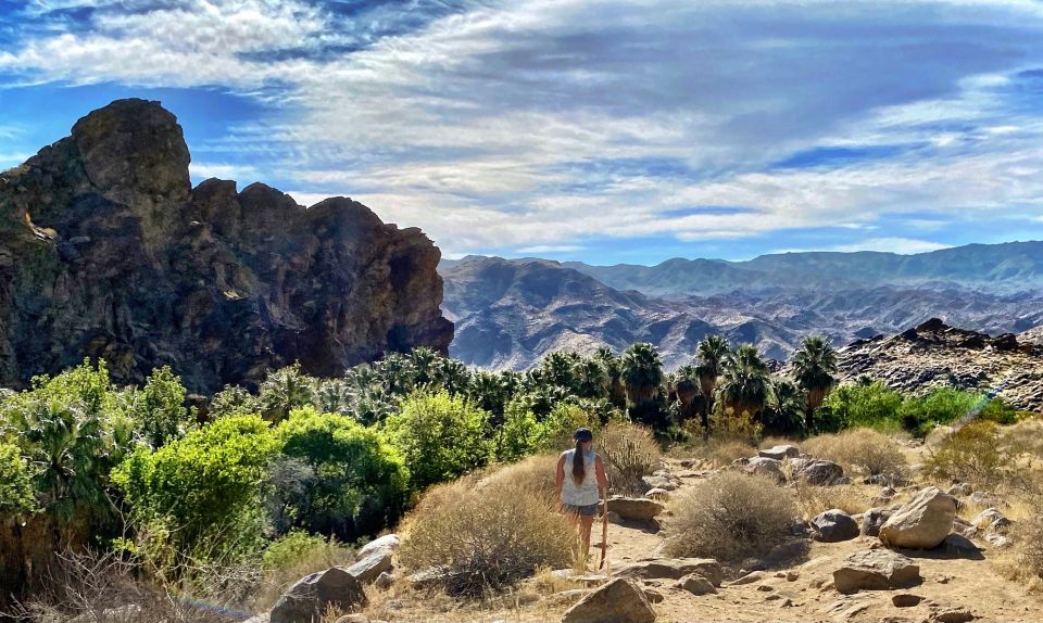 Palm Springs: Indian Canyons Hiking Tour by Jeep - Ancient Bedrock Mortars