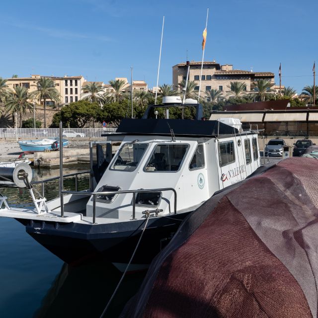 Palma De Mallorca: Local Fishing Activity - Delicious Lunch With Fresh Fish