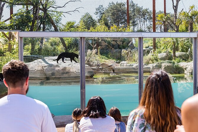 Parrot World Immersive Wildlife Park Entry Ticket Next to Paris - Booking and Confirmation