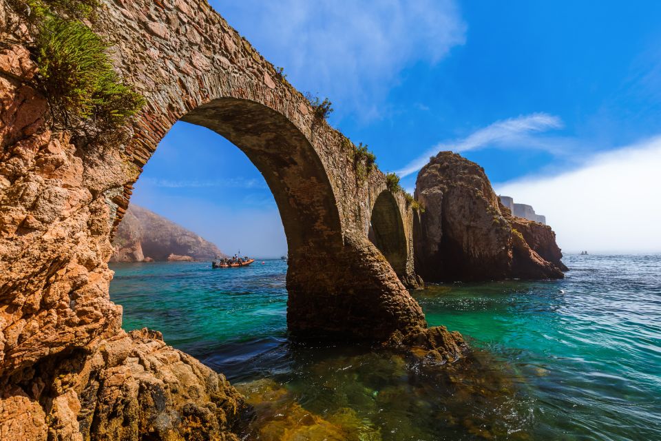 Peniche: Berlengas Roundtrip and Glass-Bottom Boat Cave Tour - Boat Tour Options