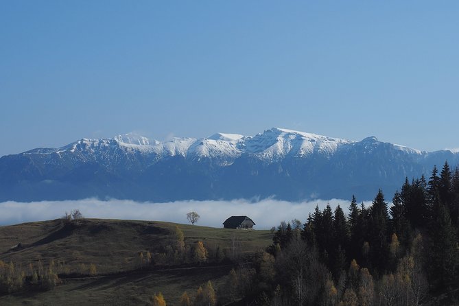 Piatra Craiului National Park Private Hiking Tour From Brasov - Exploration Highlights