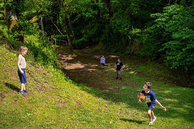 Picnic Area With Barbecue Equipment in Capranica (Vt) - Reviews and Ratings