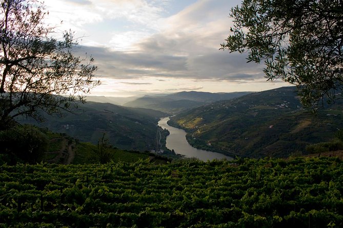 Porto: Day Trip to Douro Including Lunch and Rivercruise - Cancellation Policy