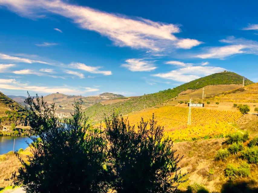 Porto: Douro Valley Private Tour 2 Vineyards & River Cruise - Viewpoints and Sightseeing