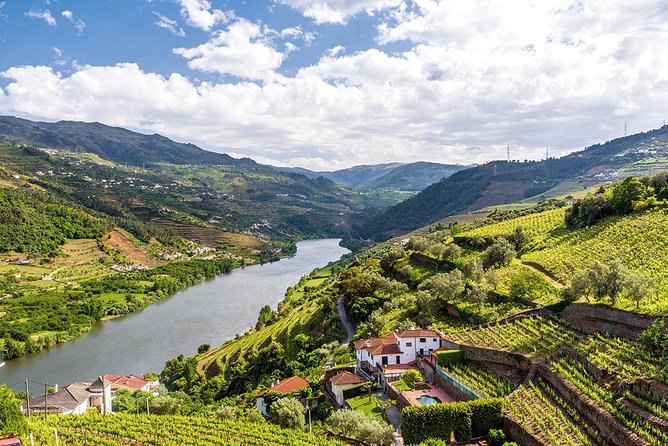 Porto: Douro Valley Wine Tour Including Lunch - Confirmation Process