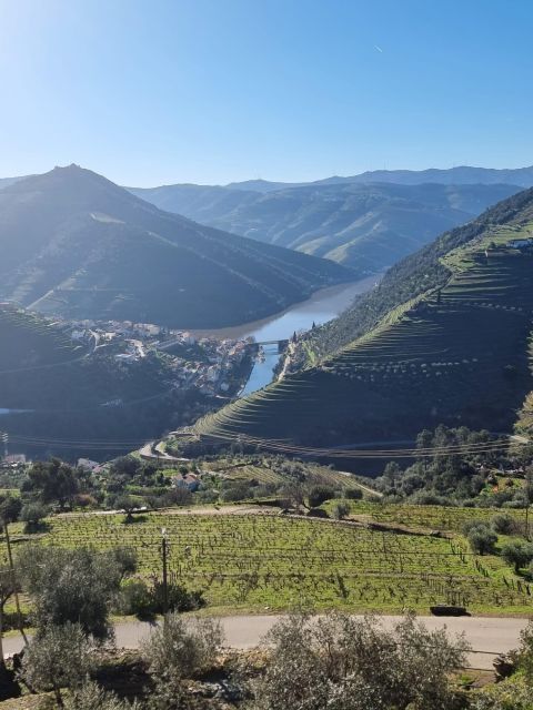 Porto: Private Douro Valley & Wine Tour With Lunch & Cruise - Traversing the Scenic N222 Road