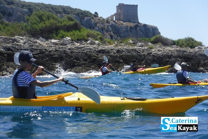 PORTO SELVAGGIO Sea Kayak Tour + Cold Spring Immersion - Highlights