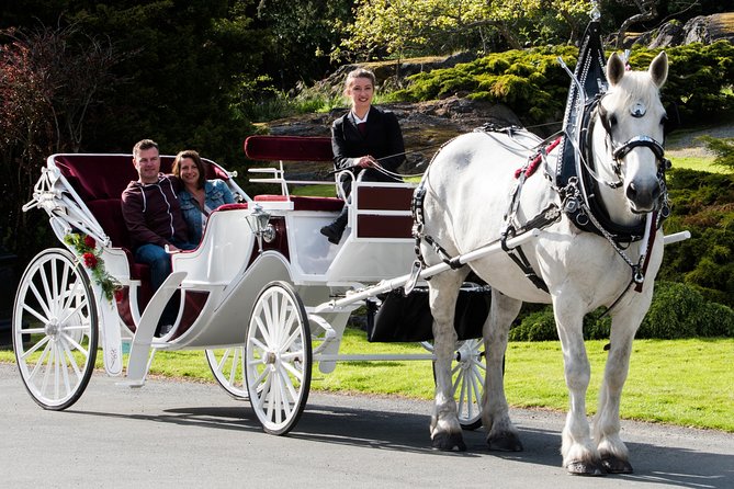 Premier Horse-Drawn Carriage Experience in Victoria - Weather Considerations