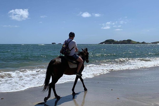 Private Beach Horseback Ride With Sandy Hoofs St. Lucia - Coastal Scenery