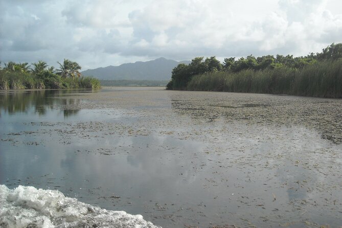 Private Boat Nature Tour of Limón Beach and Lagoon - Explore Limón Beach and Lagoon