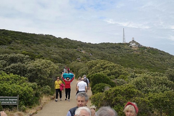 Private Cape of Good Hope Cape Point Penguin Kirstenbosch Tour. - Cape of Good Hope and Cape Point