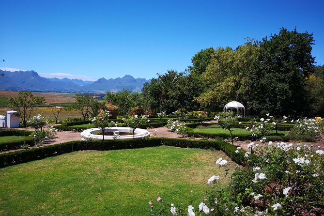 Private Cape Winelands From Stellenbosch or Franschhoek or Paarl - Logistical Information for Travelers