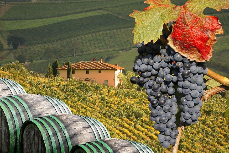 Private Chianti Tour and Wine Tasting - Exploring Montefioralle and Castle