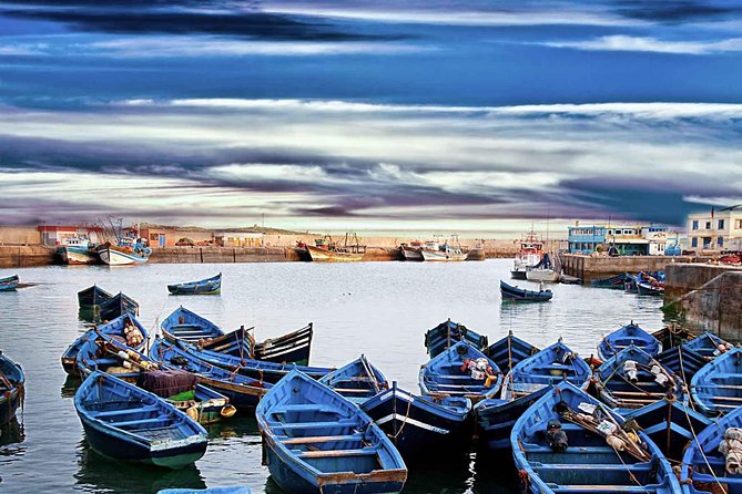 Private Day Tour to Essaouira From Marrakech - Personalized Attention