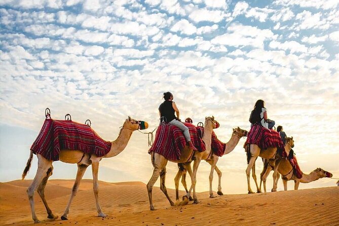 Private Desert Excursion With Camel Ride Sandboard & BBQ Dinner - Camel Ride Experience