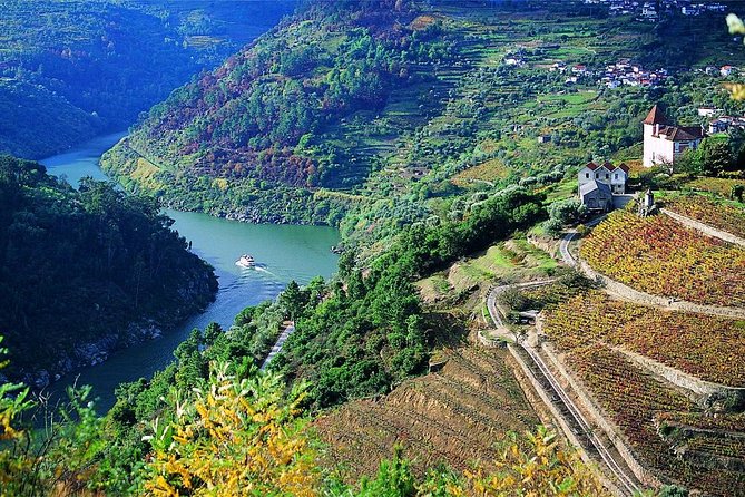 Private Douro Valley Wine Tour: 2 Wine Estates, Lunch and Cruise - Dietary Accommodations