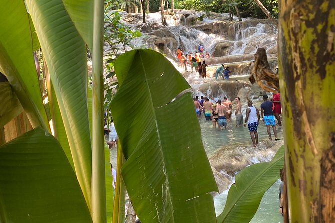 Private Dunns River Falls and Horse Back Riding - Tour Pricing