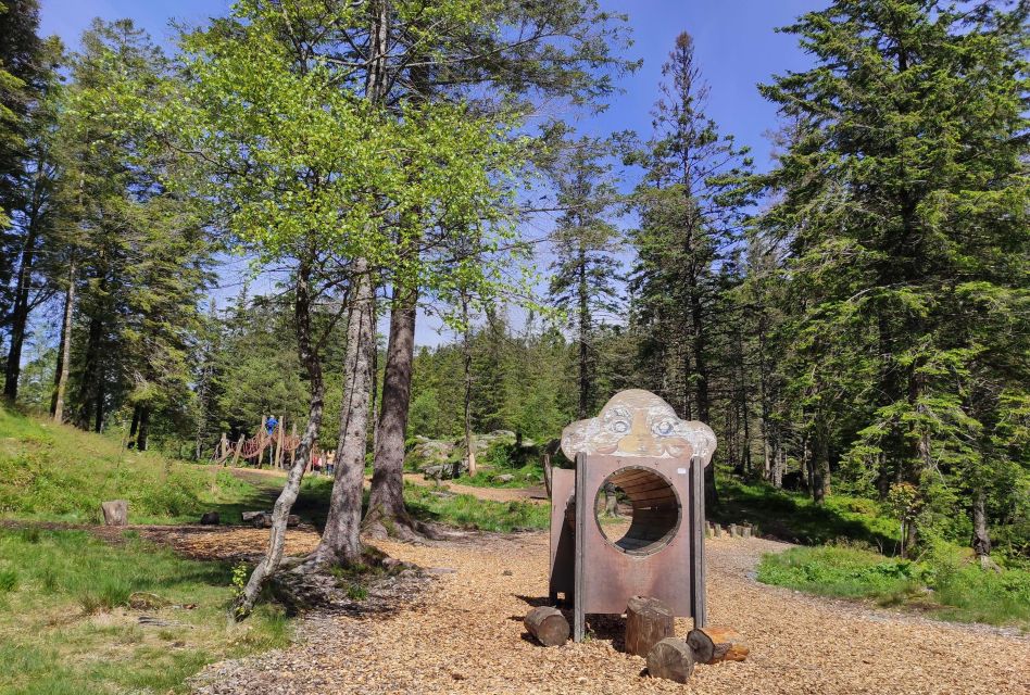 Private Hiking Tour Bergen Mountains Like a Local - Unsuitable for Certain Groups