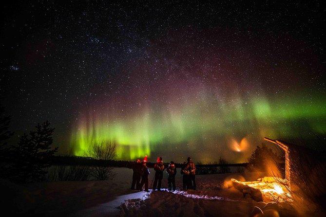 Private Northern Lights Photography Tour in Rovaniemi - Hot Drinks and Snacks