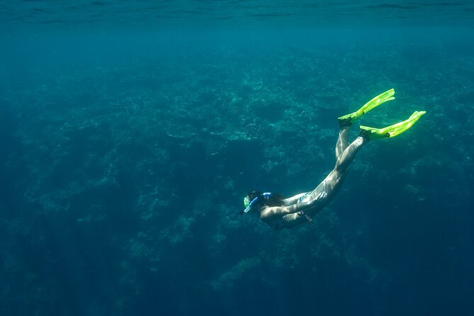 Private Snorkeling Experience in Aqaba Red Sea - Accessibility and Restrictions