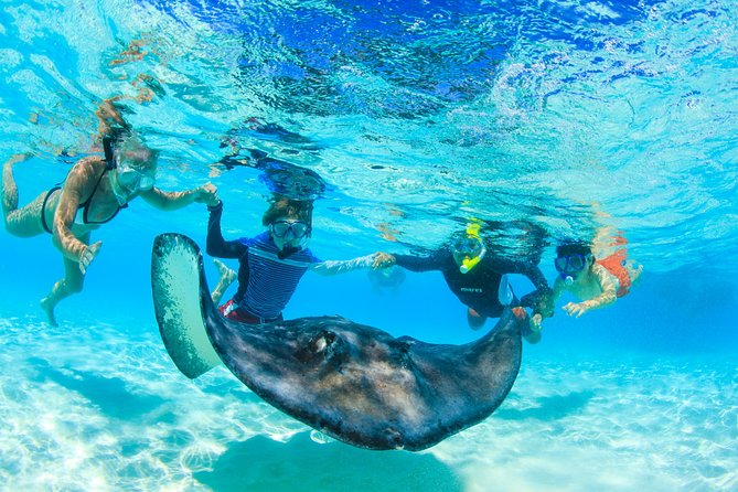 Private Stingray City Snorkeling and BioBay Charter for 10 Guests - Pickup and Drop-off