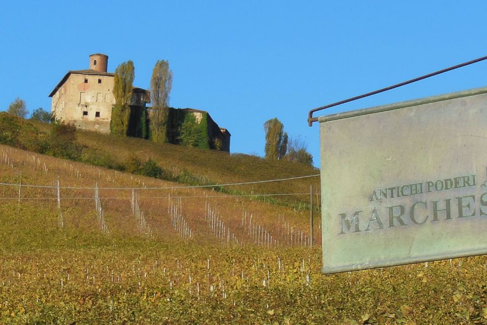 Private Tour: Barolo Wine Tasting in Langhe Area From Torino - Customer Feedback and Ratings