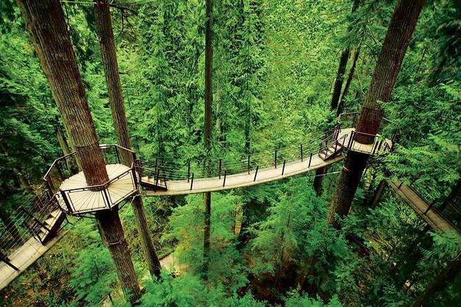 Private Tour: Capilano Suspension Bridge and Grouse Mountain - Optional Salmon Hatchery Visit