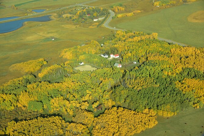 Private Tour Flights Amidst Natures Grandeur in Calgary - Aircraft and Pilot Details