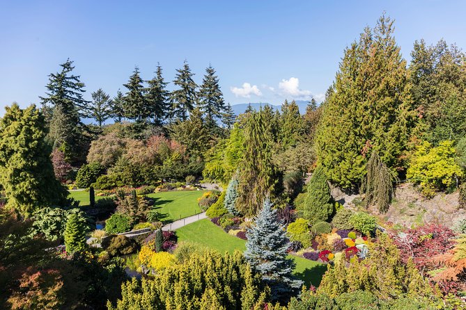 Private Tour: Gardens of Vancouver - Rhododendron Walk