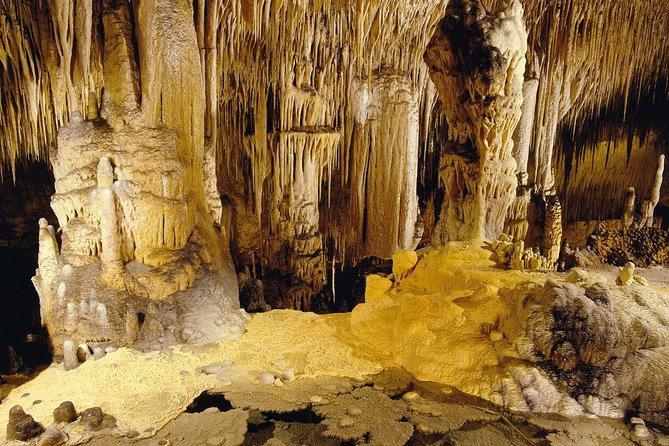 Private Tour: Mallorca Caves of Drach and Majorica Pearl Factory - Classical Music Concert