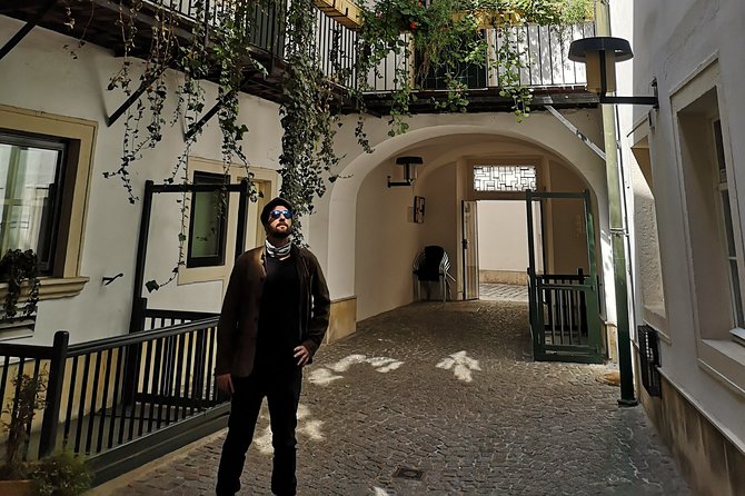 Private Tour of Historical Vienna With Jan - Accessibility and Transportation Options