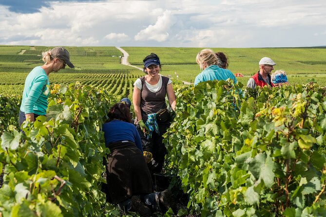 Private Tour of the Champagne Area, Meet Local Producers and Taste Their Champagne, Start From Your Hotel in Paris. - Tour Highlights