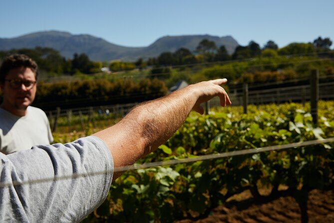 Private Tour of Top 5 Stellenbosch Wineries From Cape Town - Reviews and Ratings