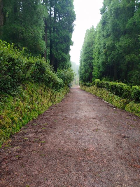 Private Tours Best Spots (Views) in Sao Miguel Island - Tranquil Natural Landscapes