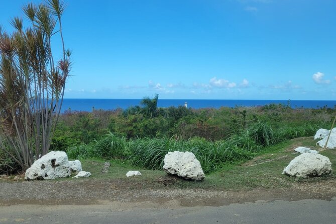 Private Transport From San Juan to Aguadilla/Rincón - Accessibility and Accommodations