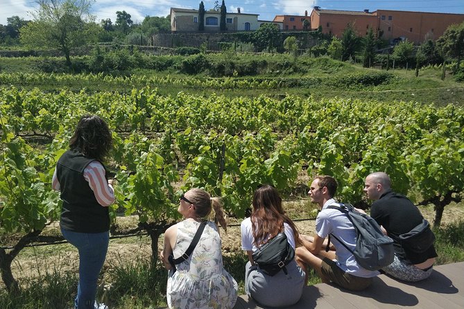 Private Wine & Cava Tasting Tour in Penedés Region With Hotel Pick up - Tasting Experiences