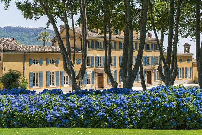 Provence Wine Small Group Day Tour From Nice With Tastings & Lunch - What to Expect