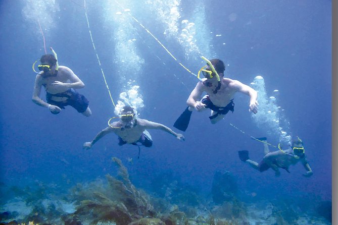 Punta Cana Party Cruise With Snorkeling, Hooka Diving and Parasailing - Traveler Suitability Information