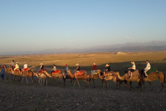 Quad Biking & Camel Ride Agafay Desert With Lunch or Dinner - Group Size and Amenities