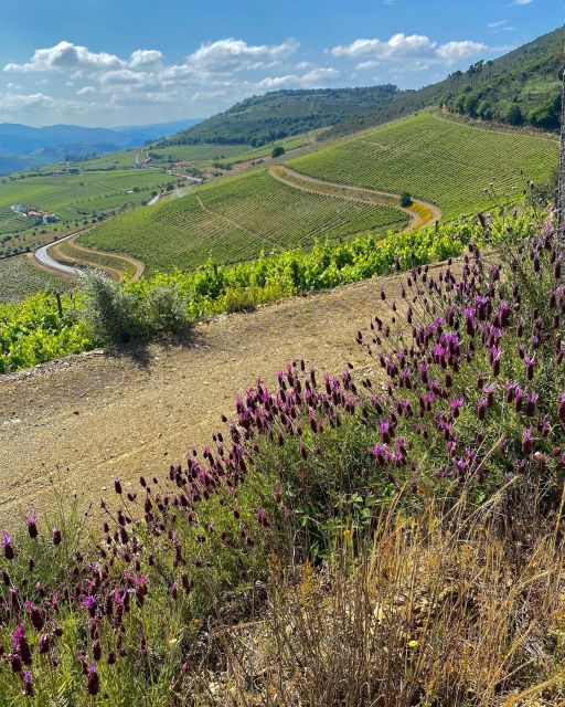 Quinta Do Portal: Walking With Full Lunch and Wine Tasting - Meeting Point