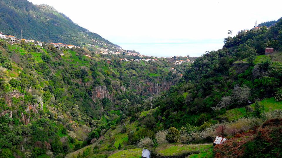 Referta / Castelejo - Levada Walk - Exploring Endemic Flora and Fauna