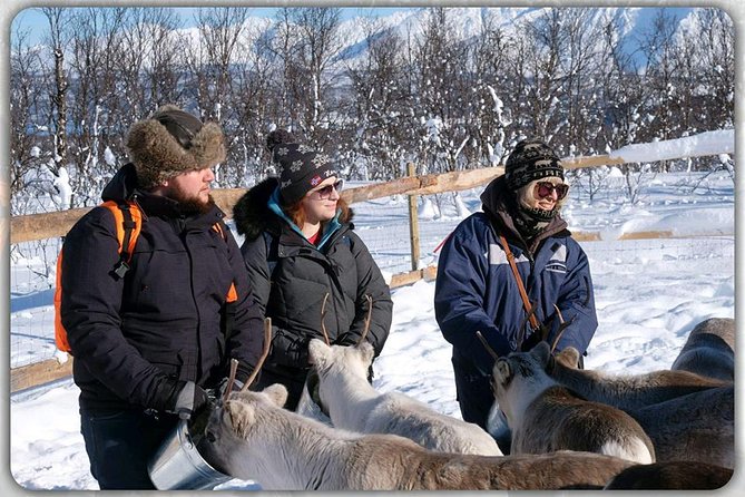 Reindeer Feeding & Saami Culture - Sámi Cultural Traditions