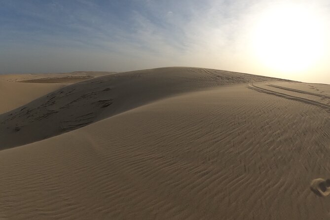 Relax Desert Safari Tour With Camel Ride and Sand Boarding - Private Tour Highlights