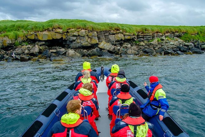 Reykjavik Premium Puffin Tour | Close up and Personal - Booking and Availability