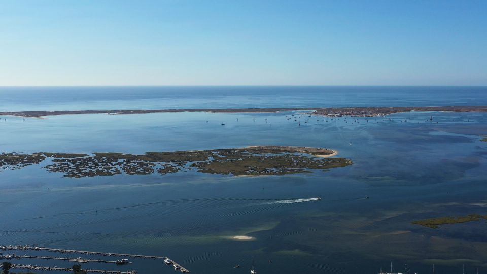 Ria Formosa: Armona and Culatra Islands Boat Tour - Appreciating the Rich Biodiversity