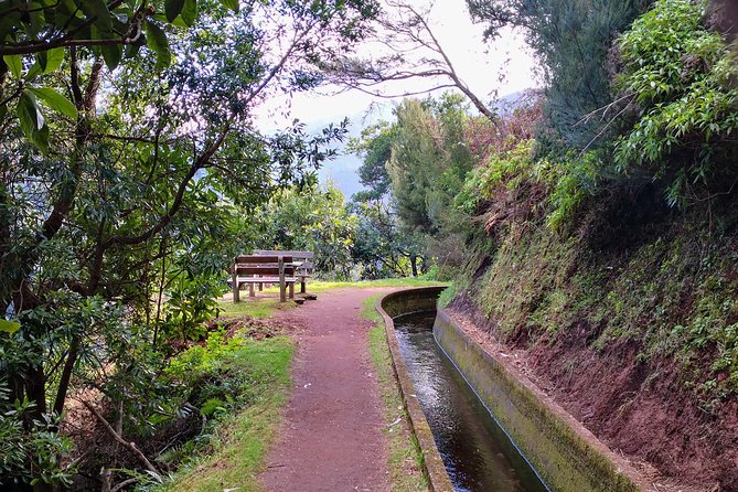 Ribeira Da Janela Tunnels and Waterfalls Tour - Meeting Point