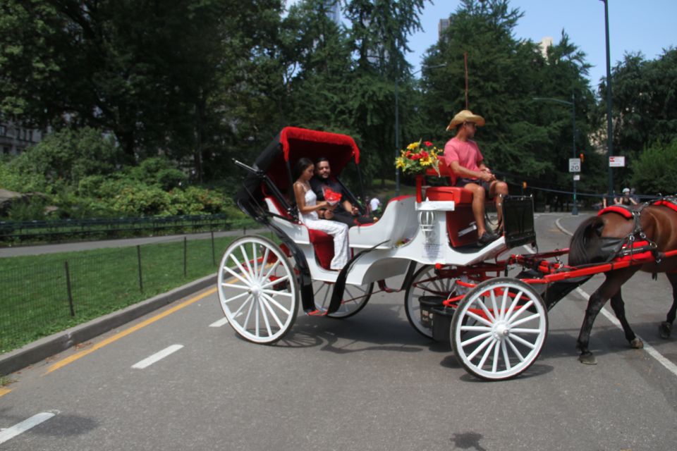 Romantic/Proposal Central Park Carriage Tour Up to 4 Adults - Ride in Stylish Carriage