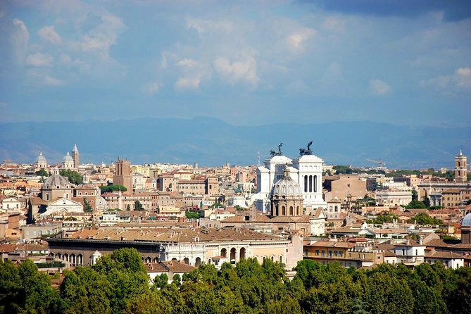 Rome and Vatican Private Tour With Driver and Vatican Guide - Accessibility and Participant Requirements