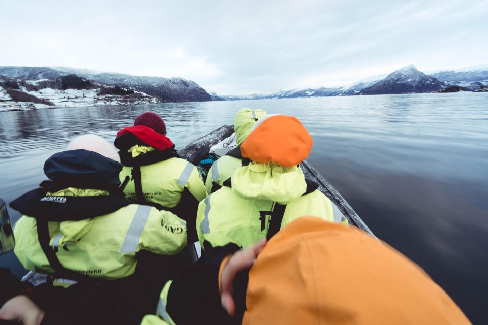 Rosendal Fjord Explore: RIB Adventure on the Hardangerfjord - Salmon Eye Art Installation